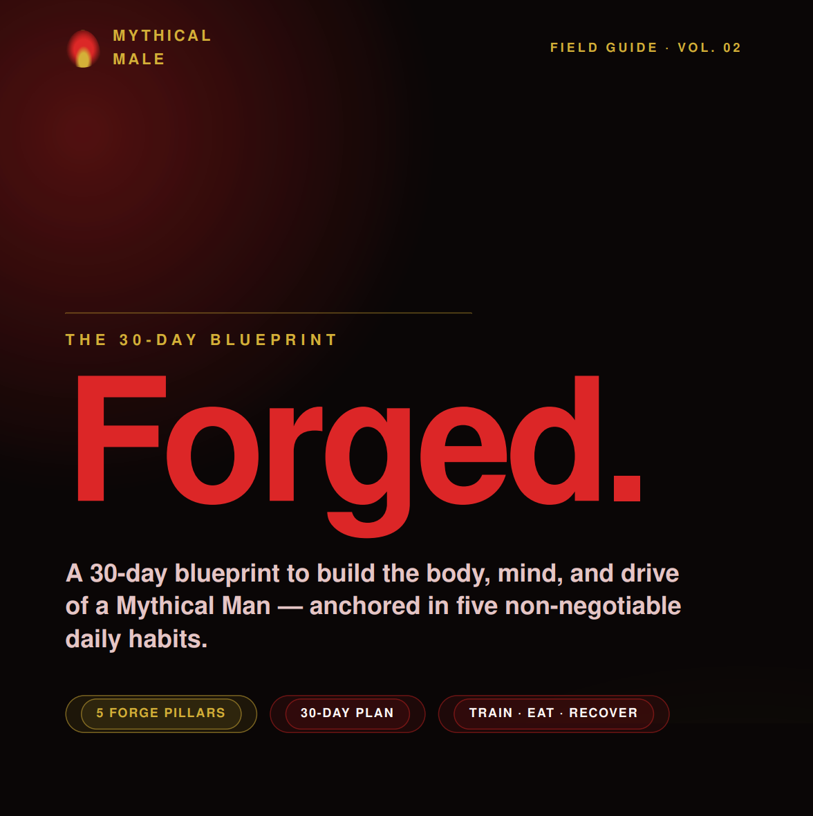 Forged: The 30-Day Blueprint to Build the Body, Mind, and Drive of a Mythical Man